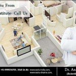 top vastu consultant in delhi